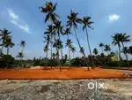 Poochunipadm  house plot