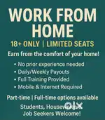 Work from home opportunity