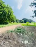 Ahilyanagar Sambhajinagar highway touch plot rent jeur