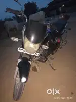 new lena hai