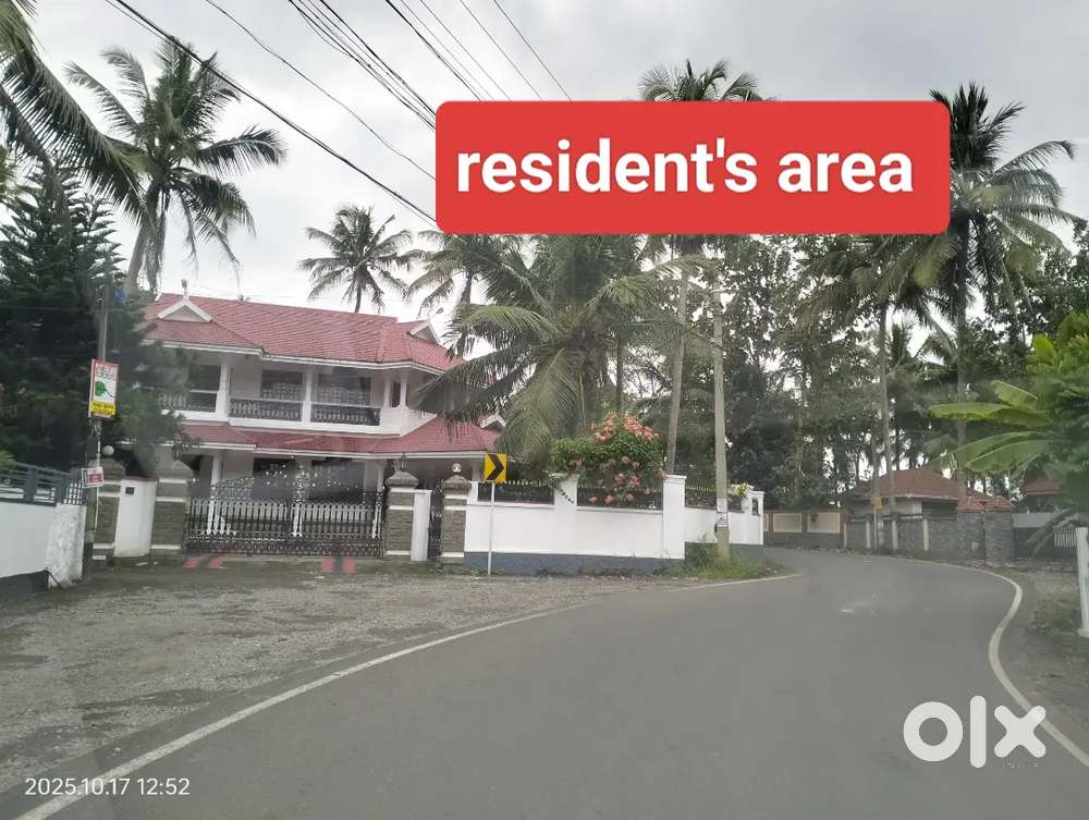 Chottanikkara Eruvely palace sguare area plot for sale