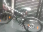 HUGE gear bike