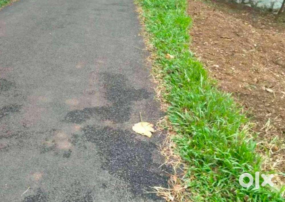 30 Cent Plot for Rent – Balussery Koyilandy