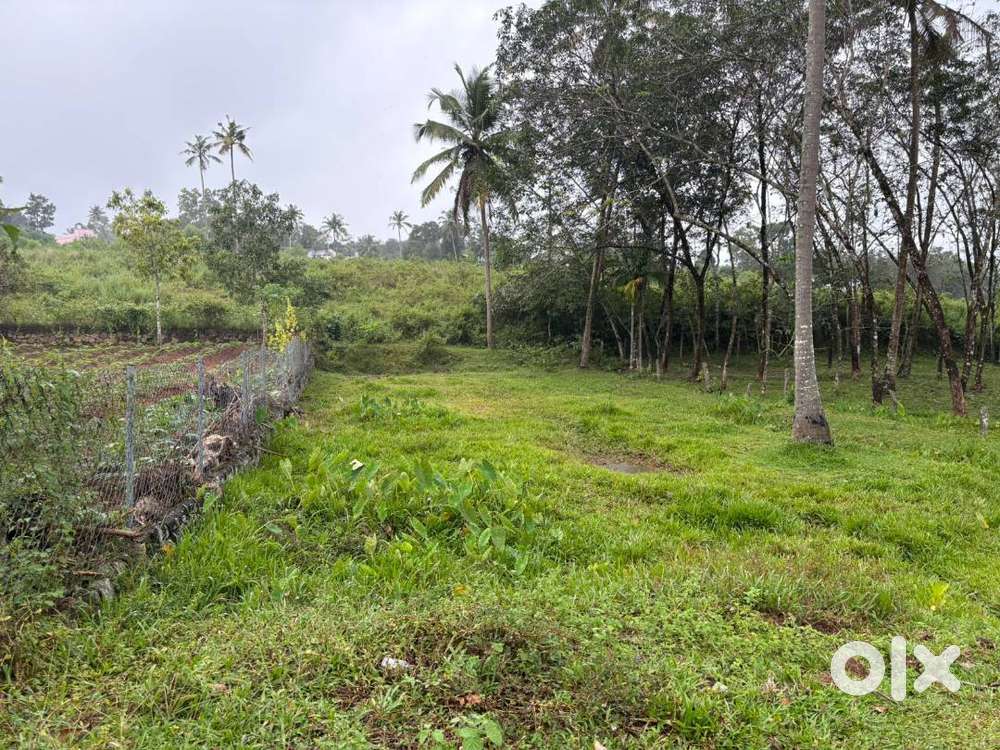 20 Cent Plot for Sale at Maniyamukku, Kadakkal