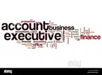 Accountant / Accounts Executive
