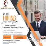 Looking for collection executive