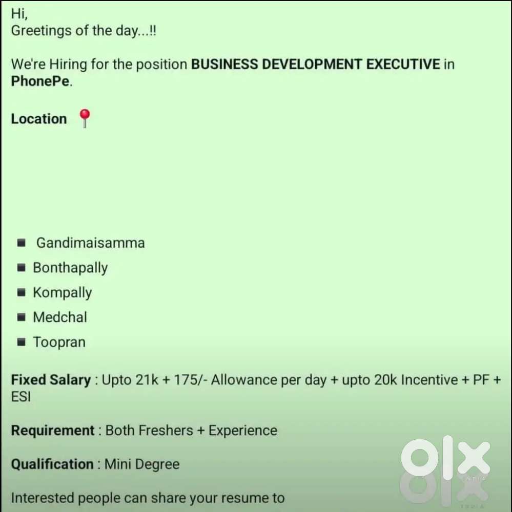 BUSINESS DEVELOPMENT EXECUTIVE