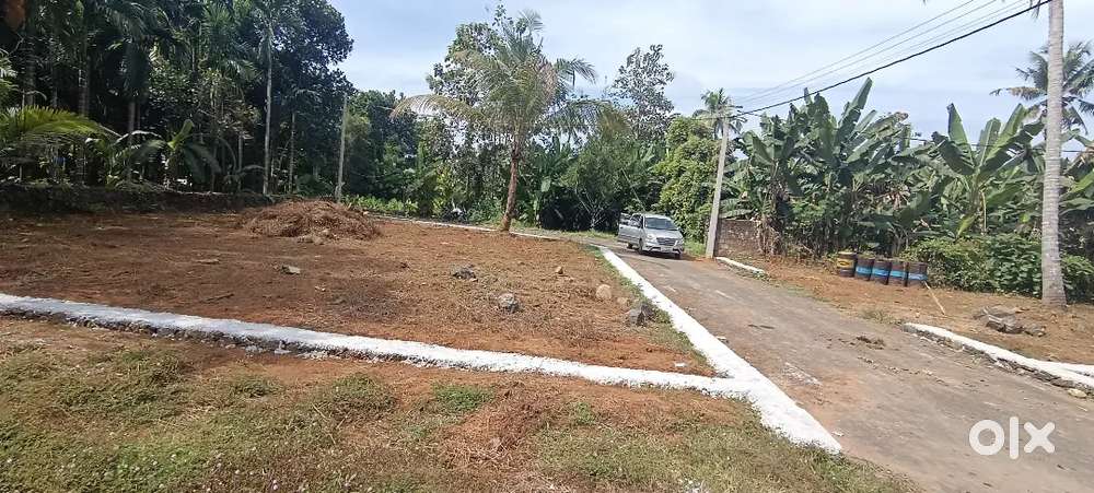 Angamaly Pulyanam junction 5,6,8, 10 CENT PLOTS AVAILABLE