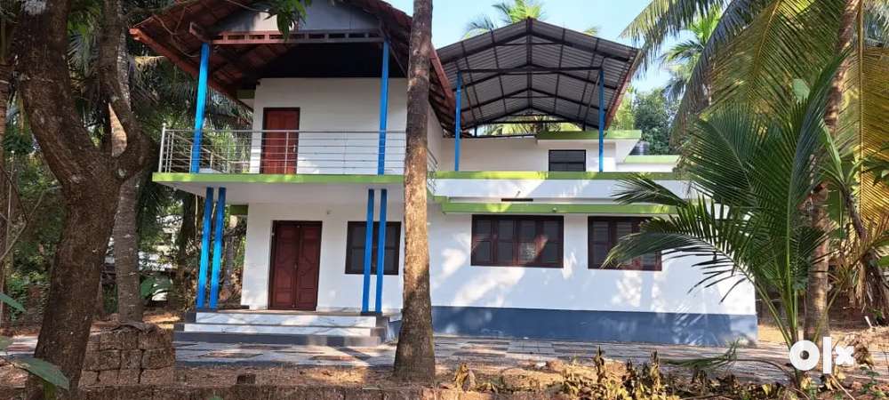 Single house with well, coconut trees, 22cents with private road.