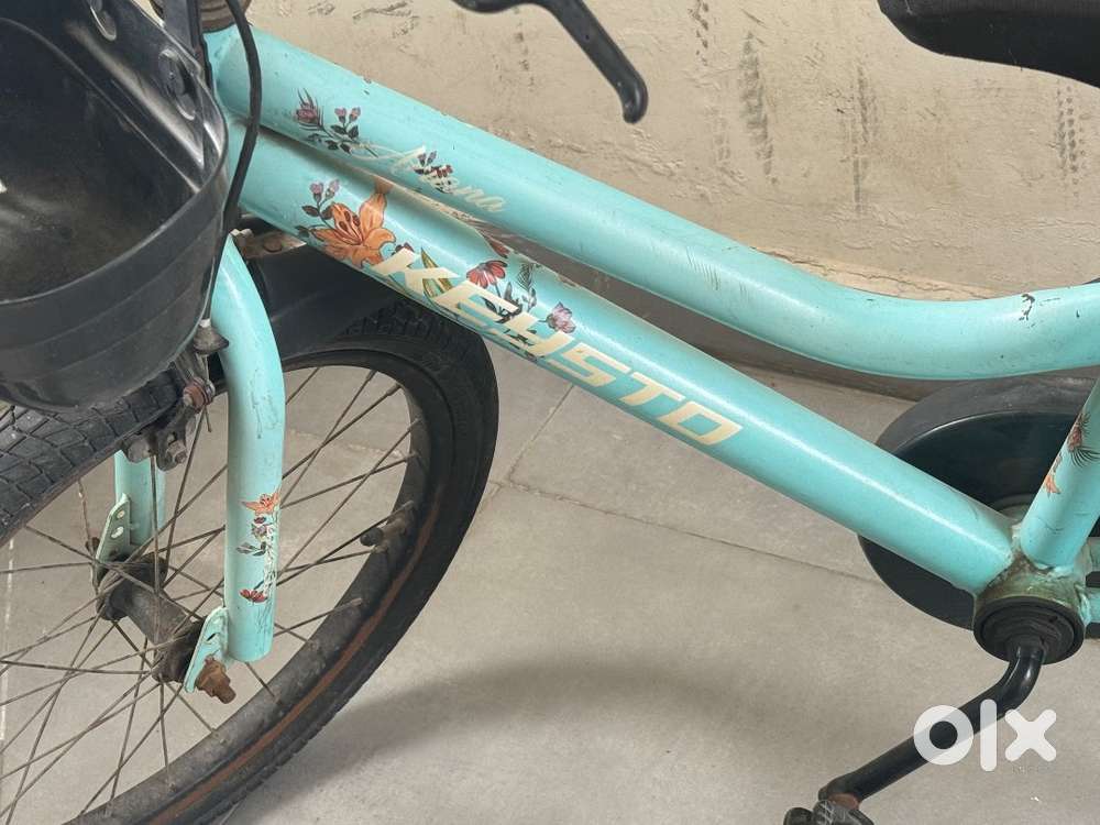 20T BICYCLE 2023 Model