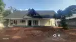 Homestay/PG for girls and working womens..