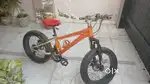 Gear cycle