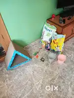 Cat belongings