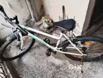 Rockrider st 20  one year old 20
