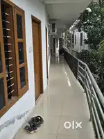 Flat for rent and daily rent rooms