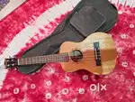I have an Ukulele