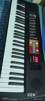 Yamaha f51