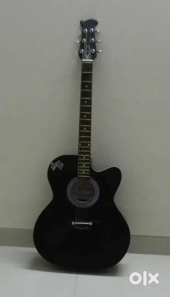 Guiter 6 months old