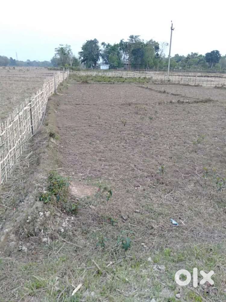 ২ কথা ১৯ লেচা মাটি আছে বিক্ৰীৰ বাবে মিয়াদি পতা ।