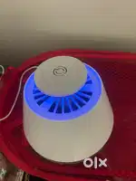 Mosquito trapper
