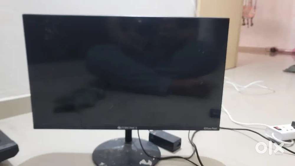 Zebronic pure pixel moniter