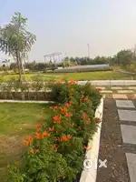 Lemontree Resorts plots