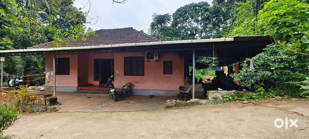 10 സെന്റ് സ്ഥലവും വീടും വിൽപ്പനക് ചേലക്കര വെങ്ങാനെല്ലൂർ House 900sq