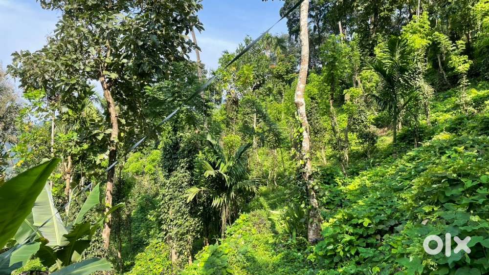 Plot - vagamon erattupetta road side 2.17 acre