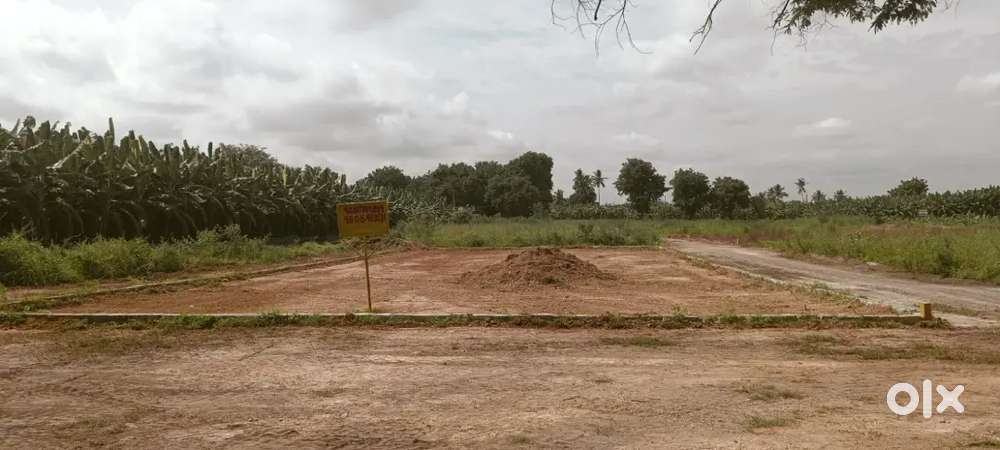 East face site is for sale