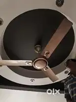 Bajaj celling fan