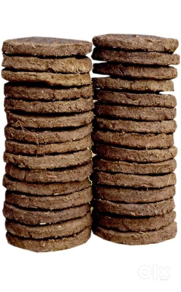 Cow Dung cakes ( गौरी )