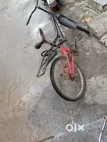 Cycle for students