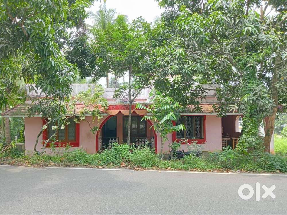 13.75 Cent Plot With Building for Sale Best Investment in tvm