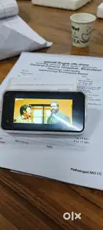 L1 13 pro LVI