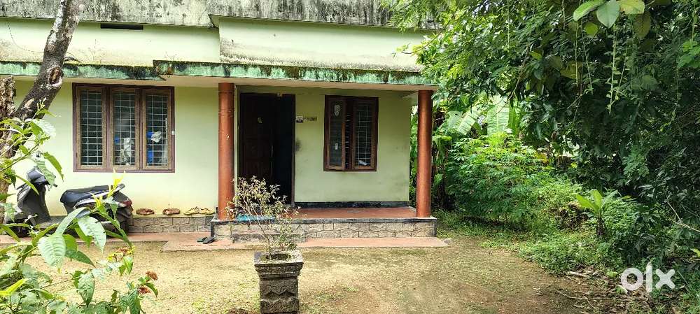 10 cent residential plot with old house for sale