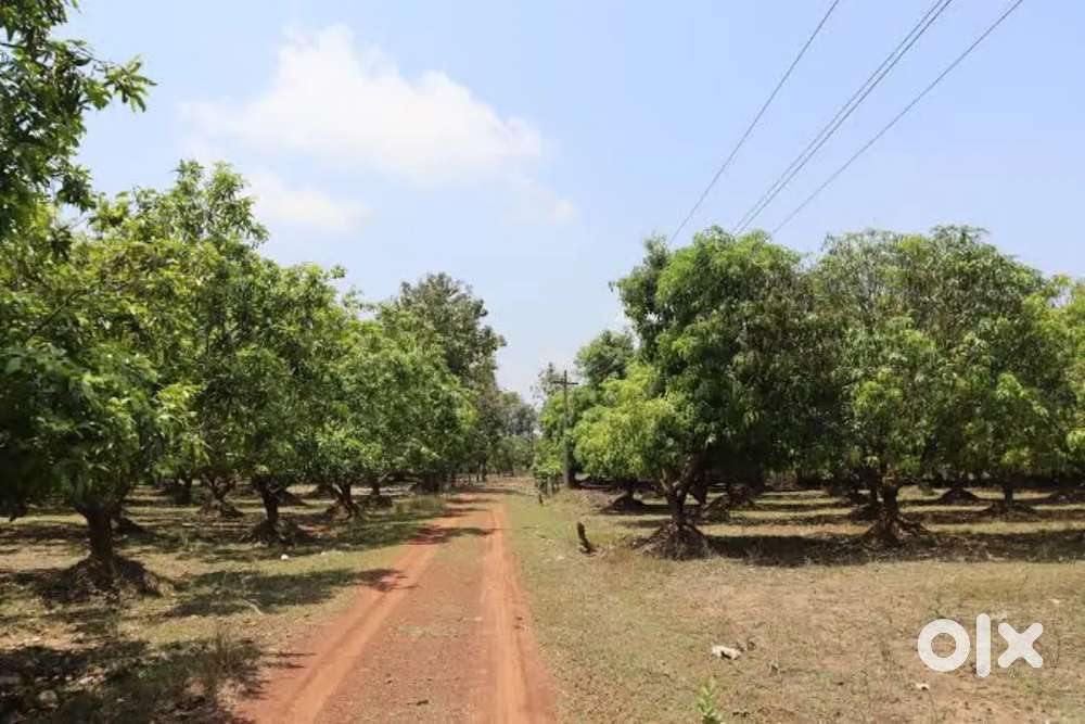 Redhills avadi near vengal plot