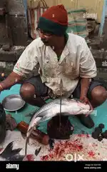 We want fish cutter