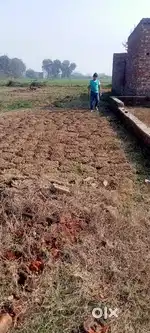 Sale Plot Sale Plot
