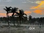 Beach side Plot for Sale