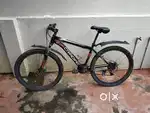 Cardiac 21 gear cycle
