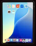 Ipad pro (12.9) Excellent Condition (No dent/scratch)