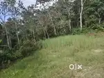 5 cent plot in moolankave