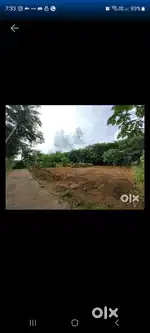 50 cent near kunnamkulam nd thejus engineering college