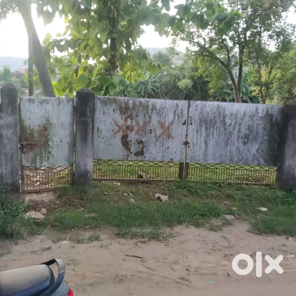 The dream land property