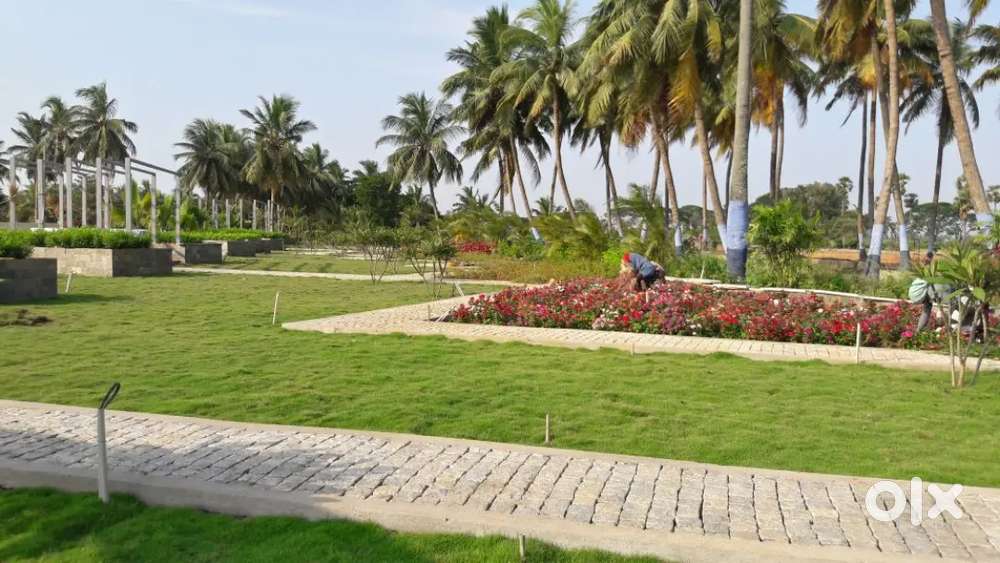 Properties Bazar