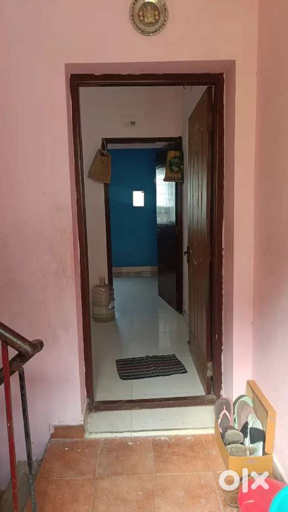 Available 2 female Bachelor