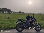 Honda hornet