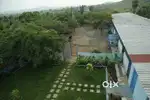 Farm Land for sale