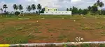 Rs.350/Sq.ft  Land available for sales near by Kavitha College