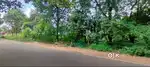 Commerical plots for sale in Athani, Near main Road, Thrissur